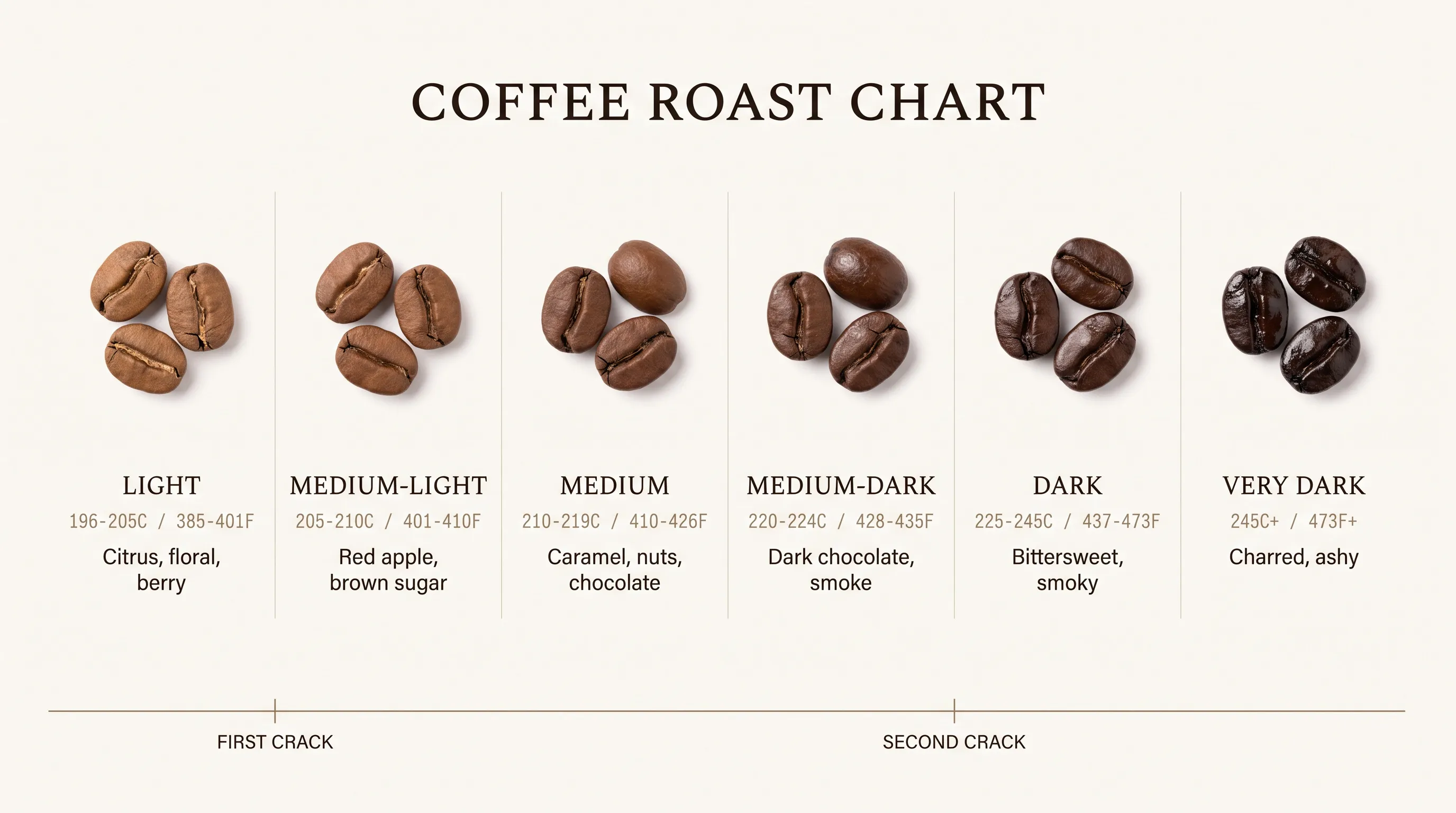 Coffee roast chart comparing six roast levels from light to very dark with bean color, finish temperature and flavor notes