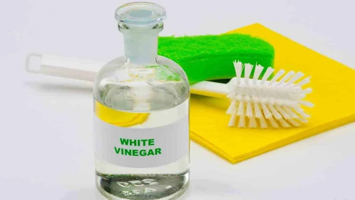 White vinegar used to clean a Cuisinart coffee maker